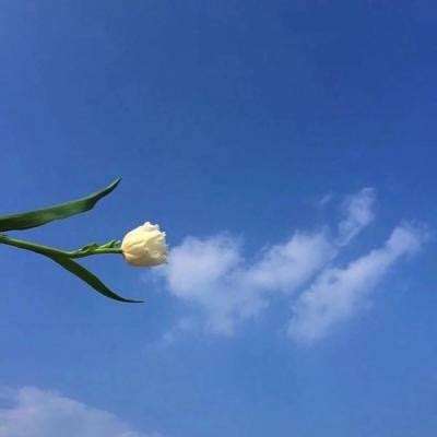 从控制底层重构工业AI，德州仪器...