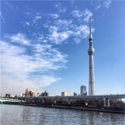中方回应特朗普称5月中旬访华